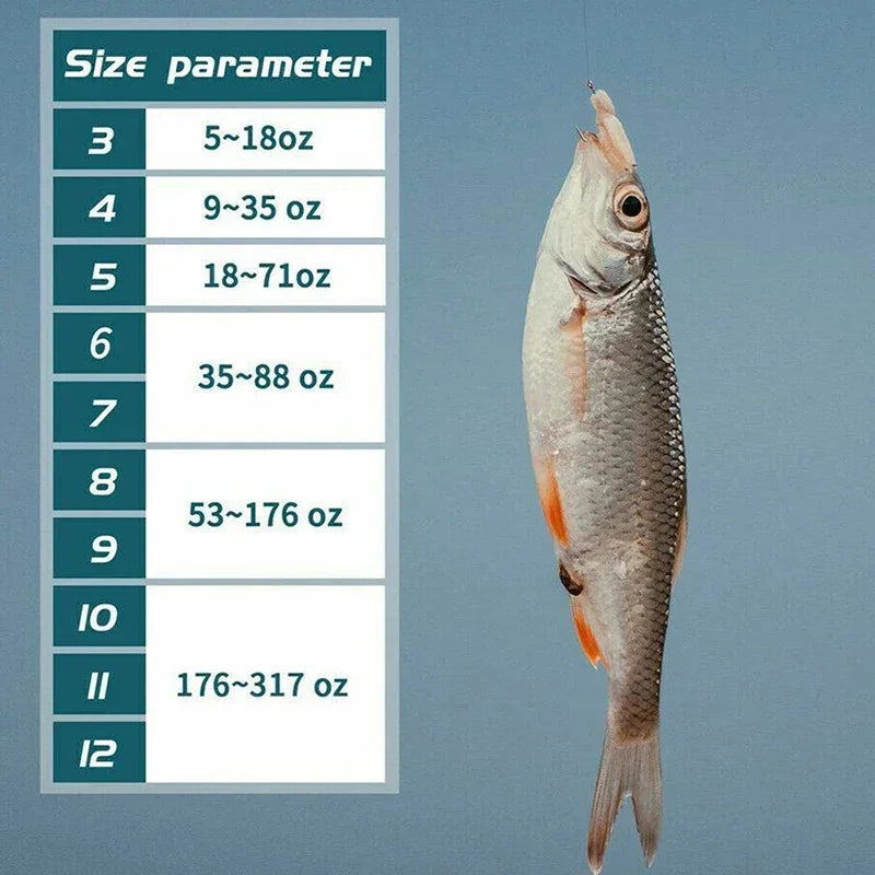 Assorted Fishing Hooks