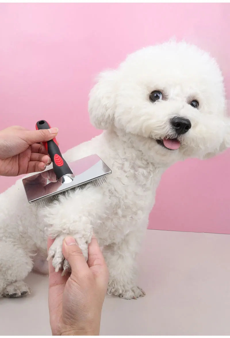 Pet Hair Removal Brush