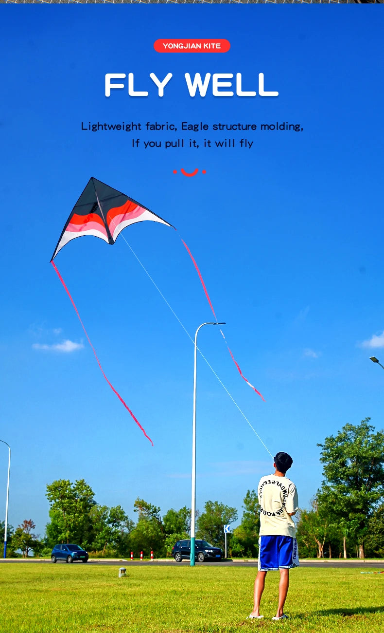 Large Beach Delta Kite