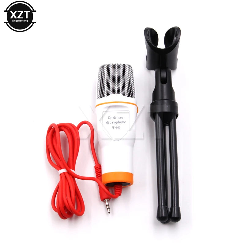 Standing Microphone
