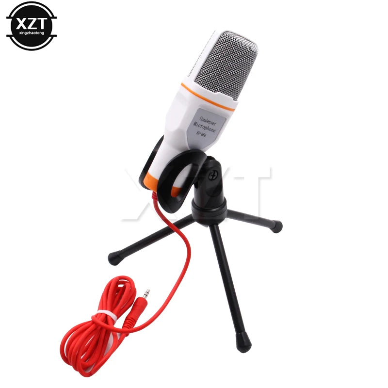 Standing Microphone