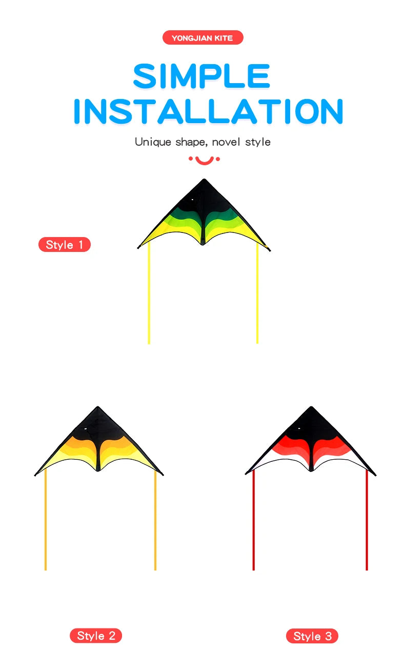 Large Beach Delta Kite