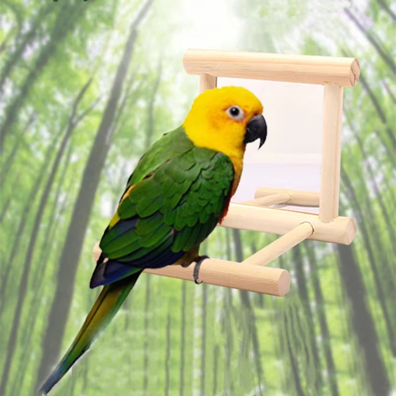 Wooden Bird Mirror With Perch