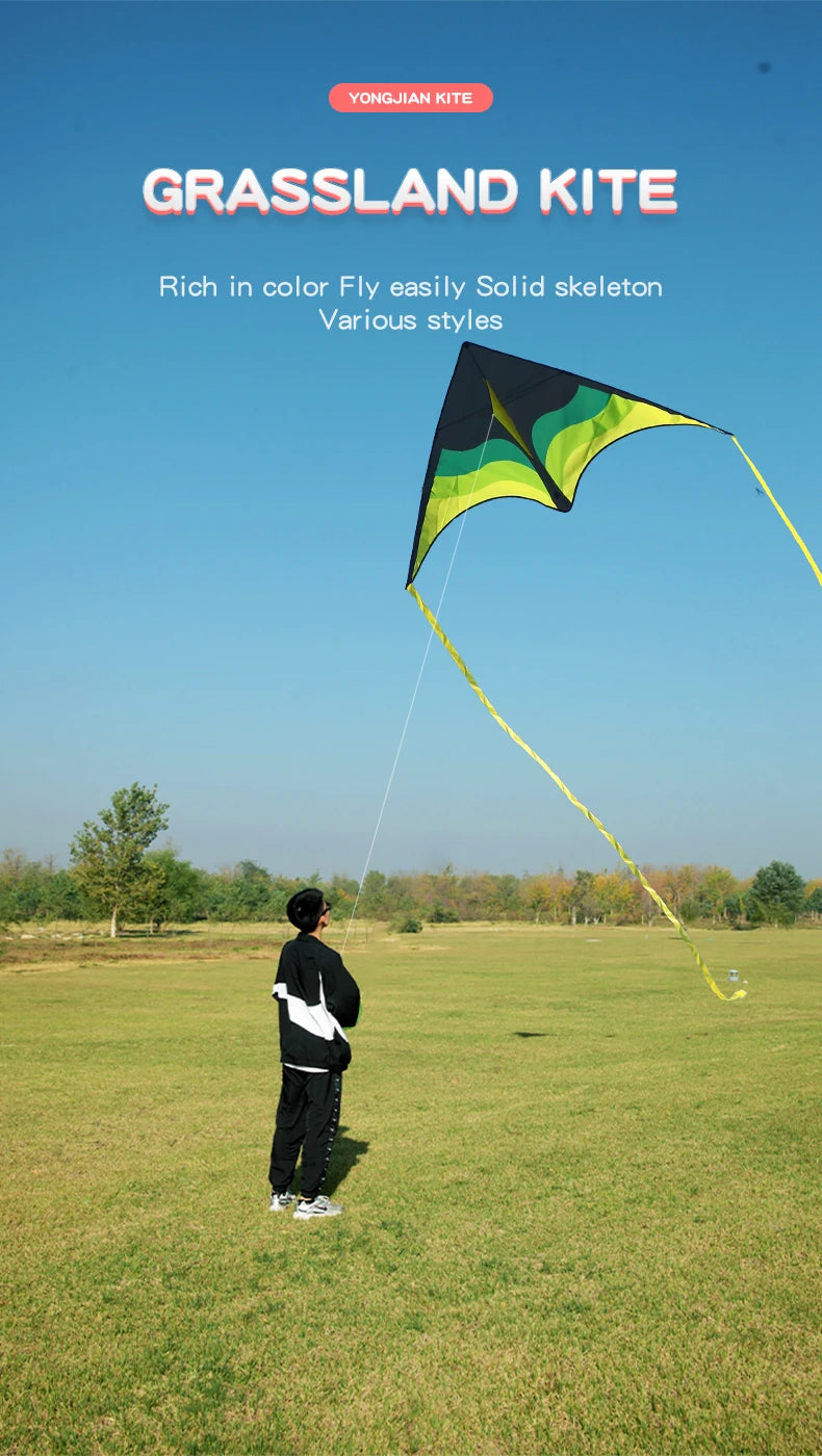 Large Beach Delta Kite