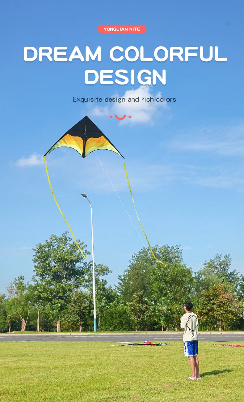 Large Beach Delta Kite