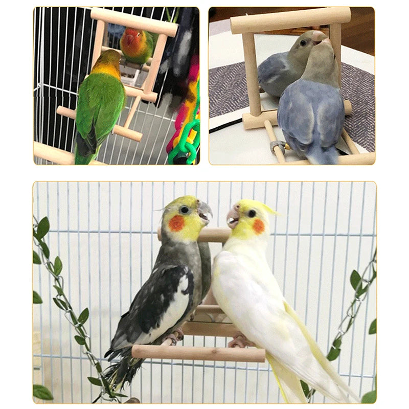 Wooden Bird Mirror With Perch