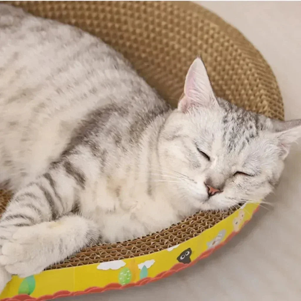 Cat Scratching Boards