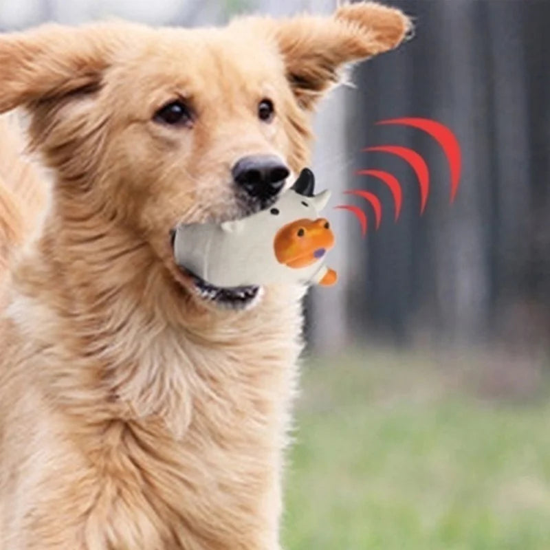 Pet Dog Vocal toy