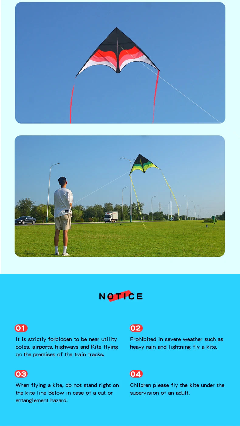 Large Beach Delta Kite