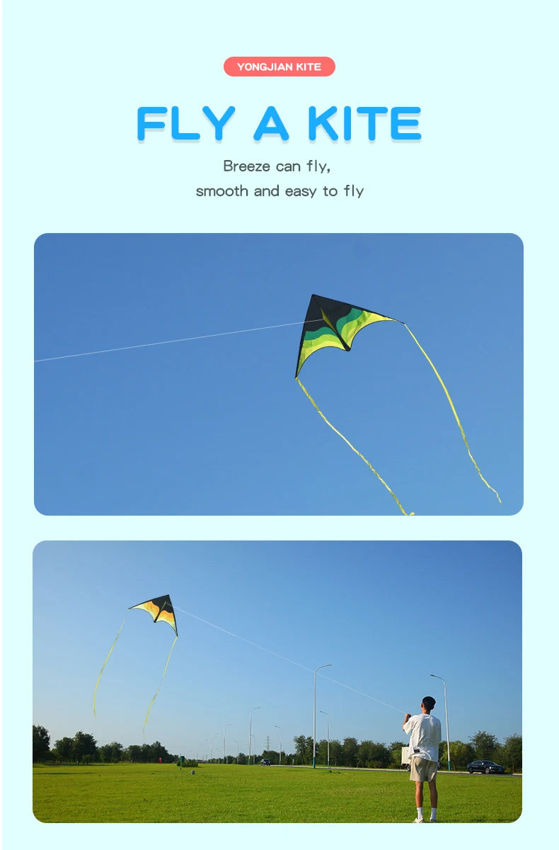 Large Beach Delta Kite