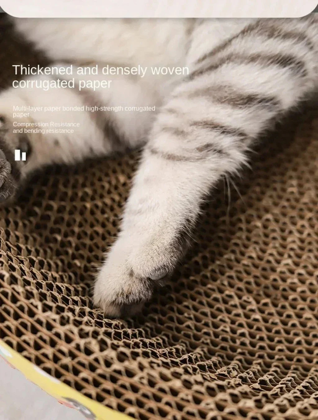 Cat Scratching Boards