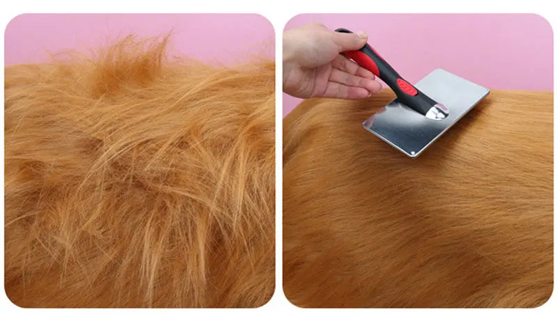 Pet Hair Removal Brush