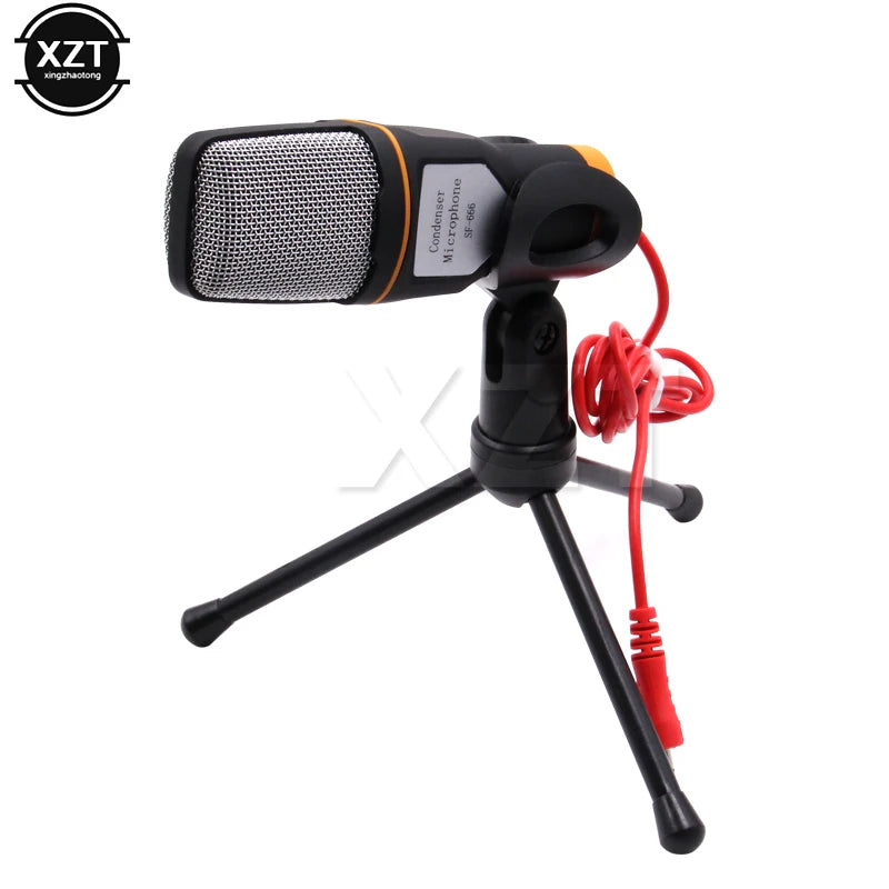 Standing Microphone