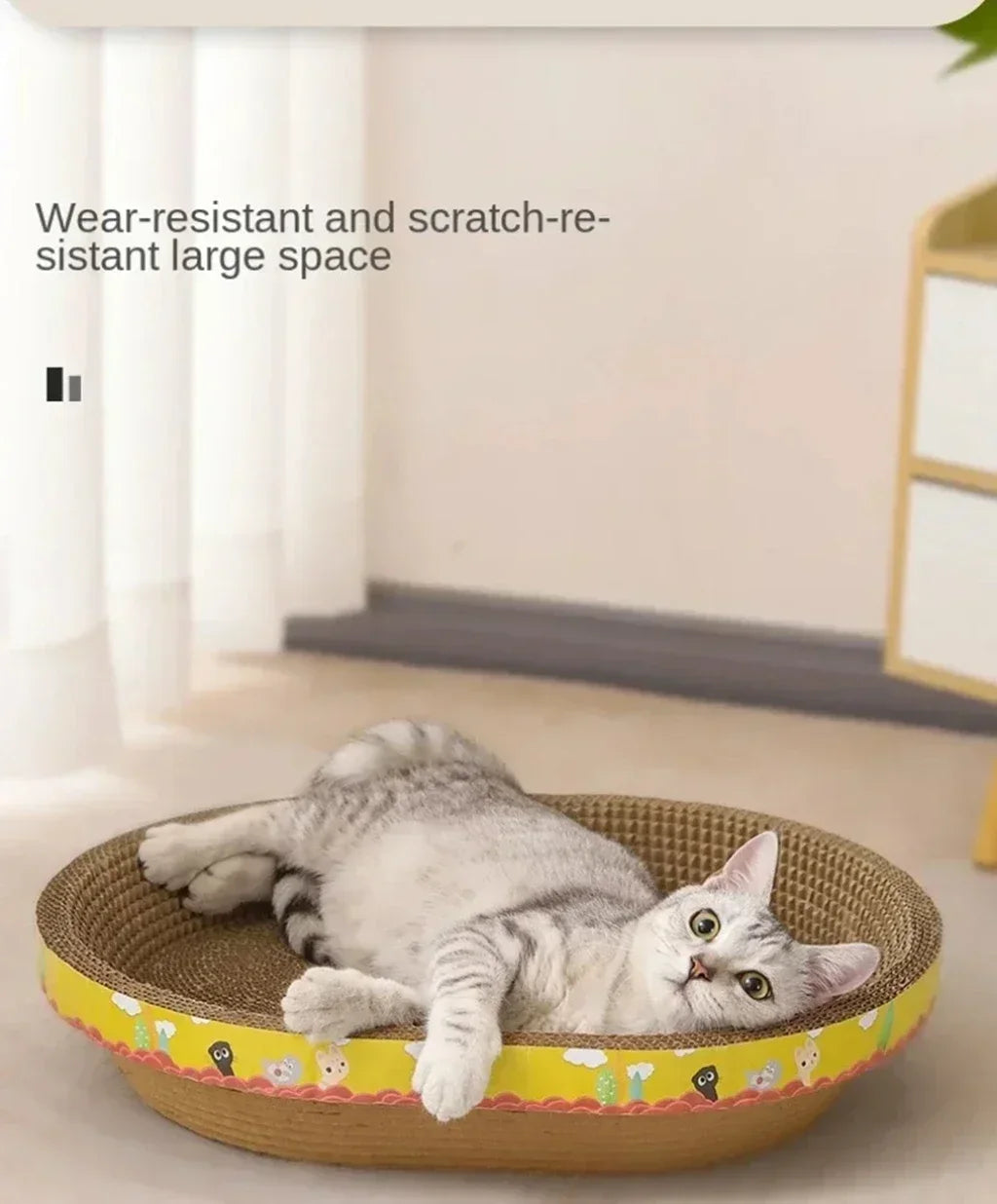 Cat Scratching Boards