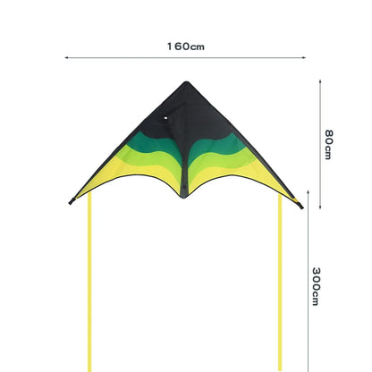 Large Beach Delta Kite