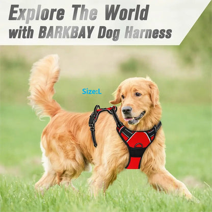 Heavy Duty Dog Harness