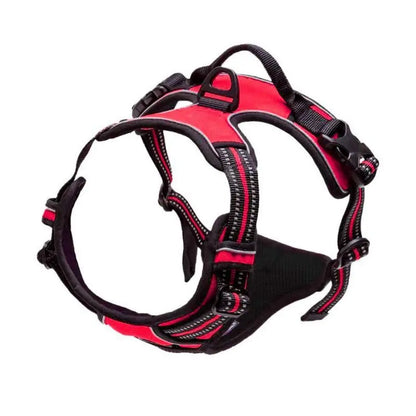 Heavy Duty Dog Harness