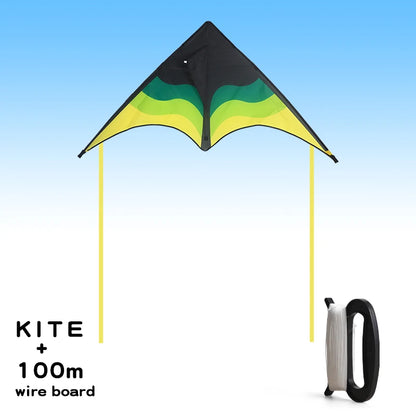 Large Beach Delta Kite