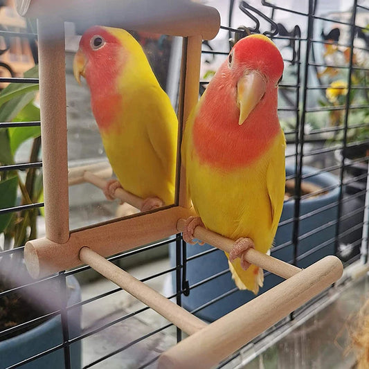 Wooden Bird Mirror With Perch