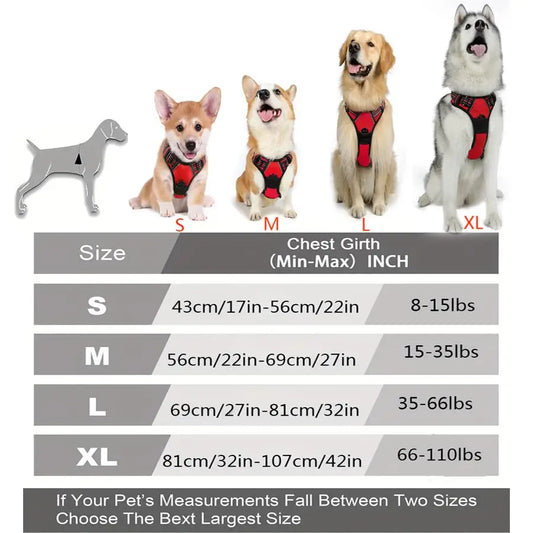 Heavy Duty Dog Harness