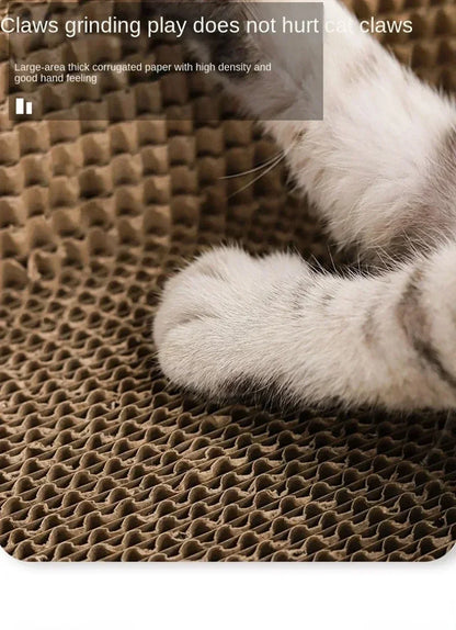 Cat Scratching Boards