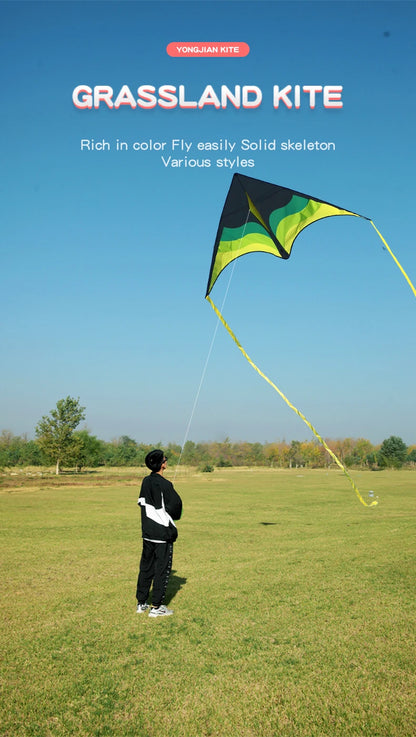 Large Beach Delta Kite