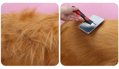 Pet Hair Removal Brush