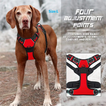 Heavy Duty Dog Harness